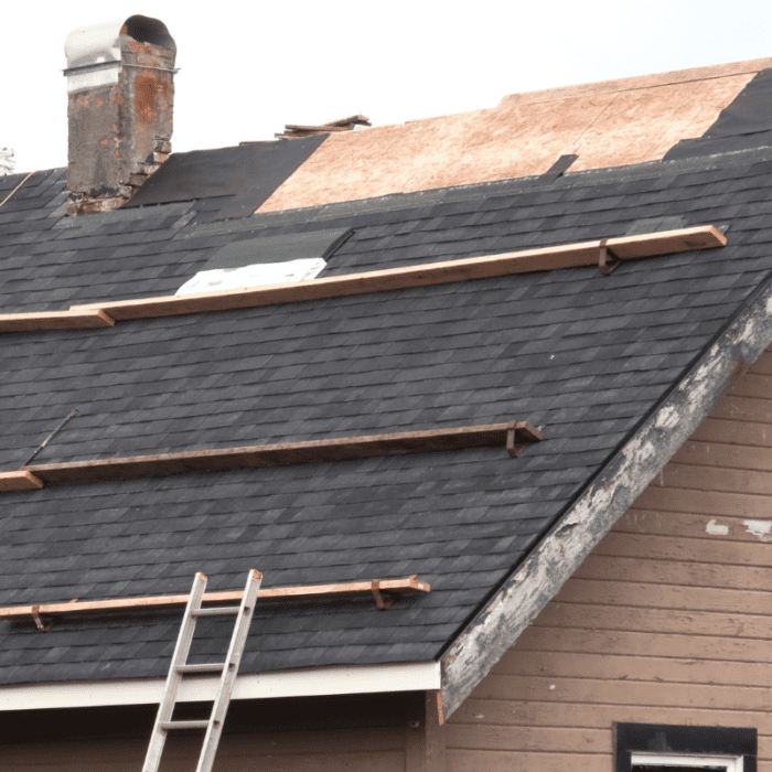 Roof in need of repair